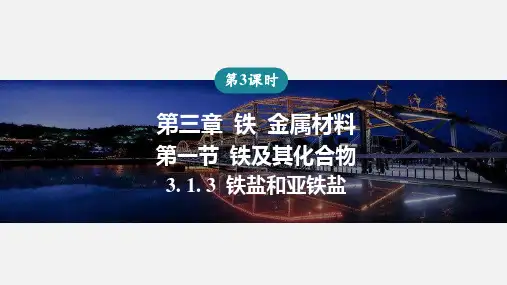 铁盐和亚铁盐课件-高一化学人教版(2019)必修第一册