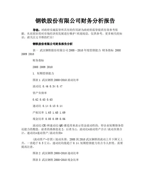 钢铁股份有限公司财务分析报告