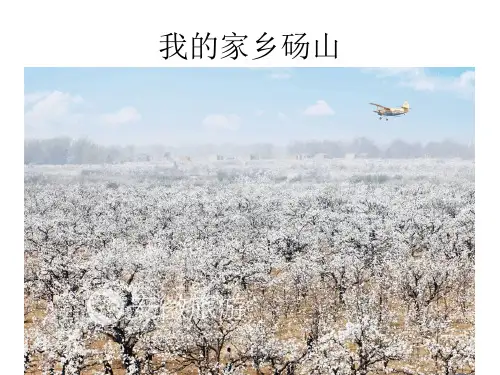 我的家乡砀山