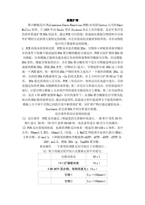 聚合酶链反应
