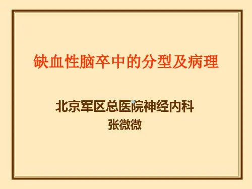 缺血性脑卒中的分型及病理