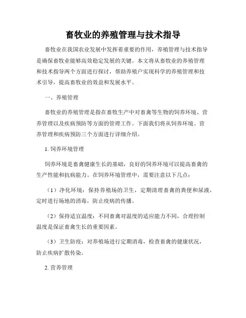畜牧业的养殖管理与技术指导