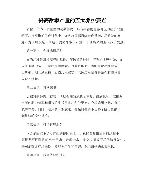 提高甜椒产量的五大养护要点