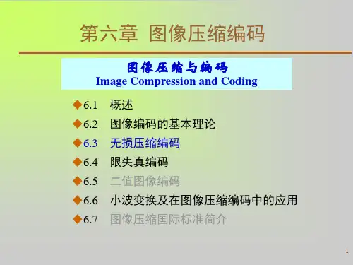 第6章(2)-图像压缩编码_无损压缩编码(1)