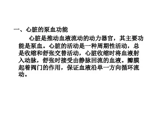 心脏的生理概述