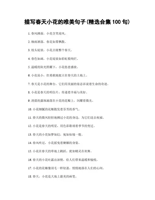 描写春天小花的唯美句子(精选合集100句)