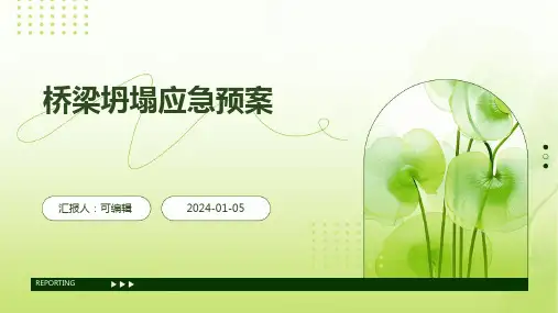 桥梁坍塌应急预案