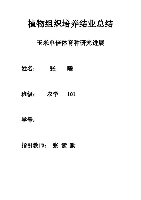 玉米单倍体育种的研究应用进展