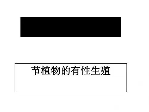 植物的有性生殖PPT课件4