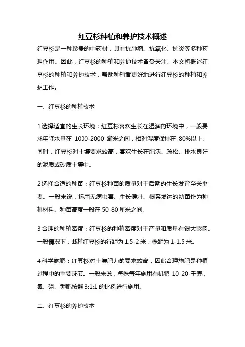 红豆杉种植和养护技术概述