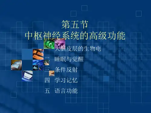 中枢神经系统的高级功能.ppt