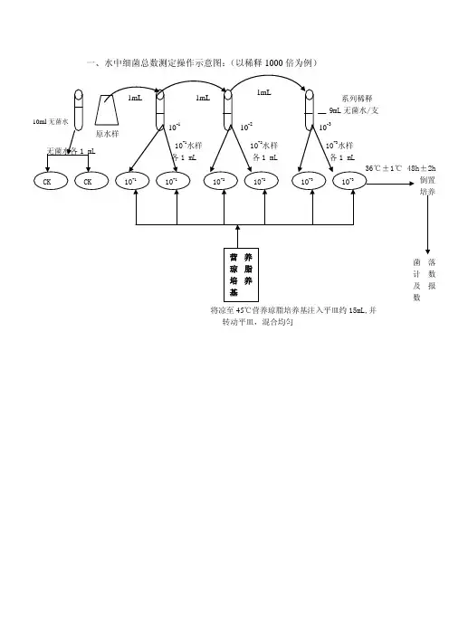 水中细菌总数测定操作示意图 耐热大肠菌群的测定操作示意图   总大肠菌群的测定操作示意图