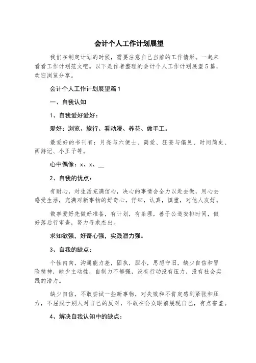 会计个人工作计划展望
