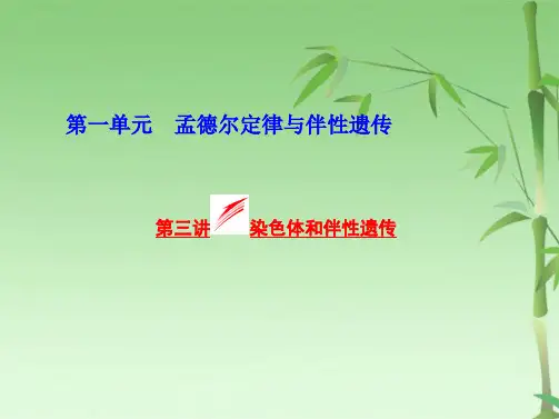 高考生物一轮复习第一单元第三讲染色体和伴性遗传课件浙教版必修(共62张PPT)