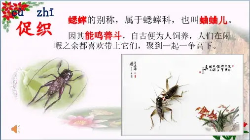 古诗三首夜书所见人教部编版PPT 优秀课件