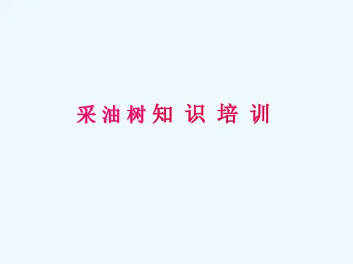 采油树基础知识培训()