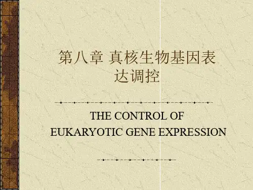 真核生物基因表达调控