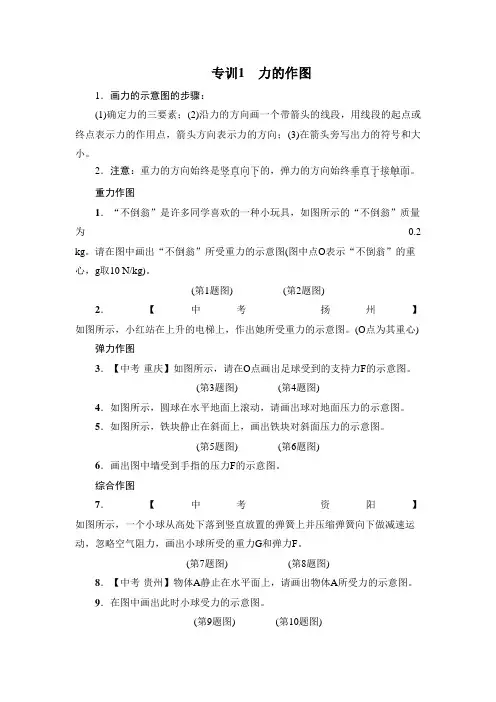 八年级沪粤版物理下册专训：1力的作图