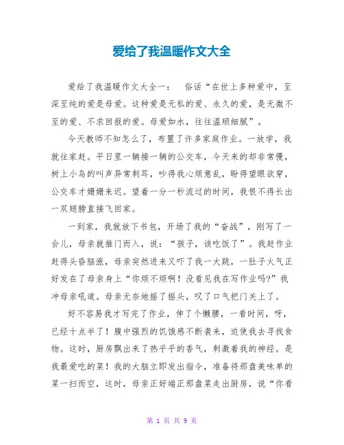 爱给了我温暖作文大全