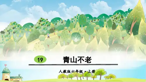 【部编本】六年级上册《青山不老》ppt课件