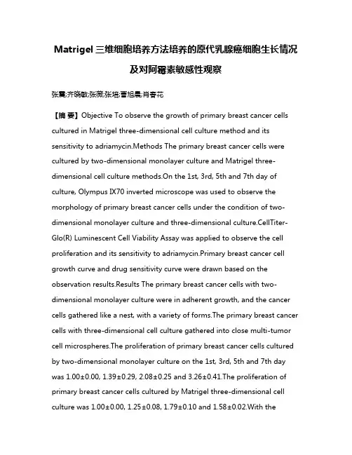 Matrigel三维细胞培养方法培养的原代乳腺癌细胞生长情况及对阿霉素敏感性观察