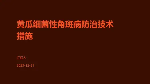 黄瓜细菌性角斑病防治技术措施