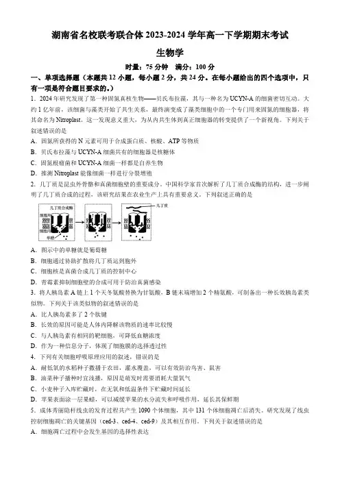 湖南省名校联考联合体2023-2024学年高一下学期期末考试生物学试题(含答案)