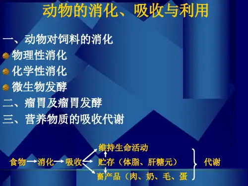 动物的消化、吸收与利用课件