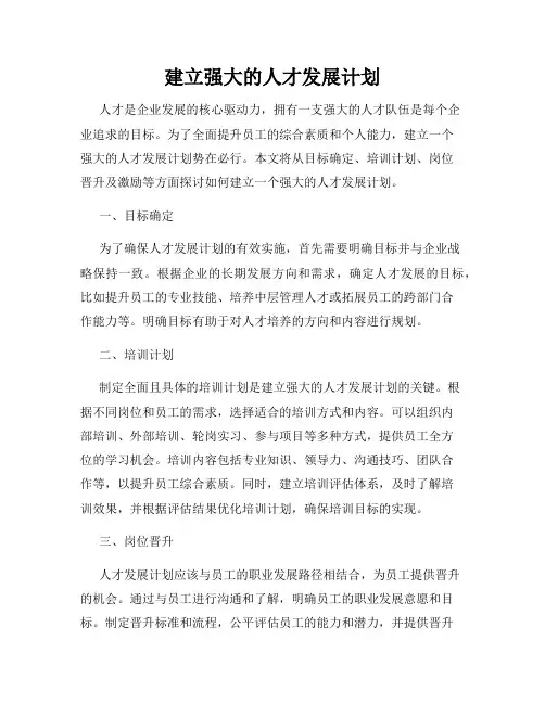 建立强大的人才发展计划