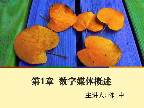 数字媒体概述PPT课件