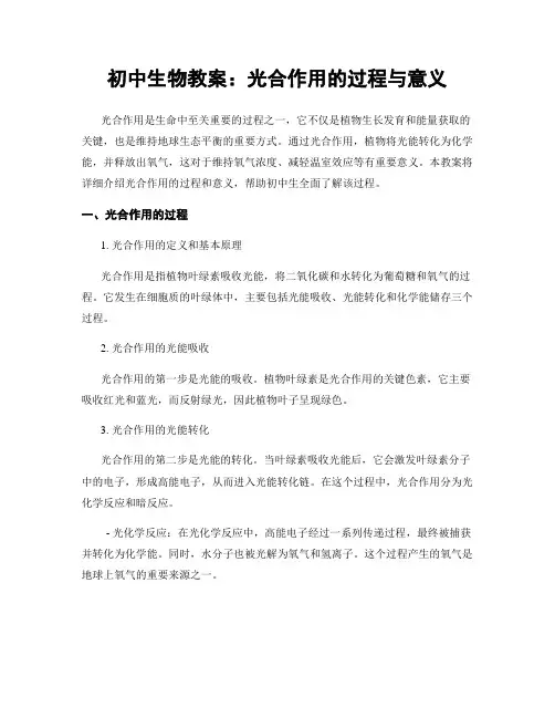 初中生物教案：光合作用的过程与意义