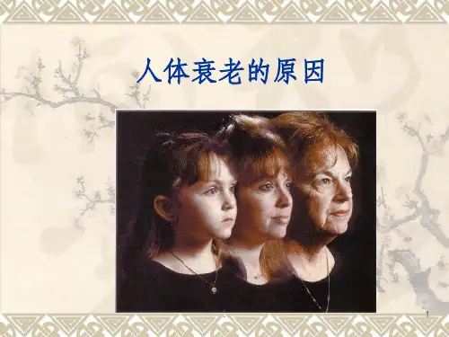 人体衰老的原因PPT课件