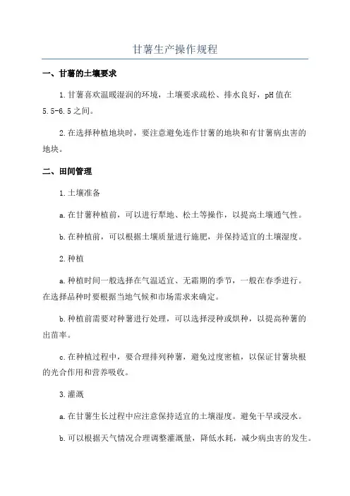 甘薯生产操作规程