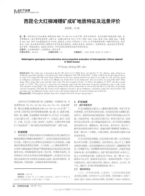西昆仑大红柳滩锂矿成矿地质特征及远景评价