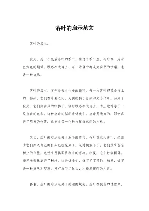 落叶的启示范文