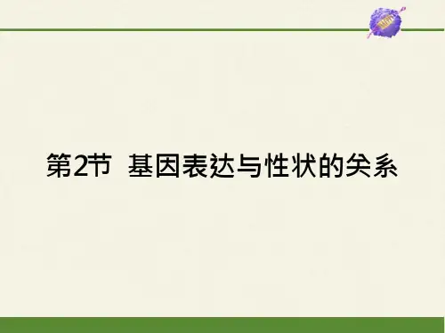 基因表达与性状的关系【新教材】人教版高中生物必修二ppt课件