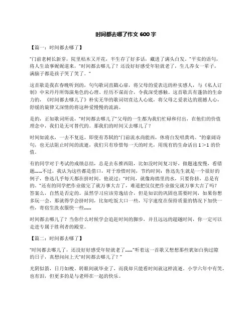 时间都去哪了作文600字