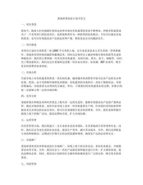 菜地种菜创业计划书范文