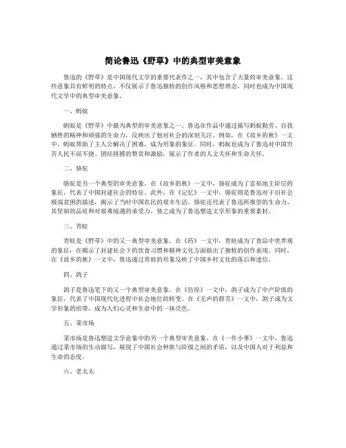 简论鲁迅《野草》中的典型审美意象