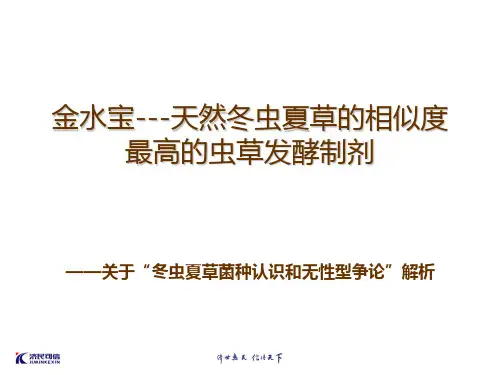 金水宝 天然冬虫夏草的相似度最高的虫草发酵制剂