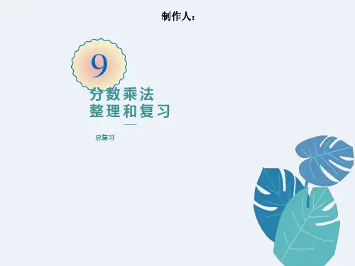 分数乘法整理与复习
