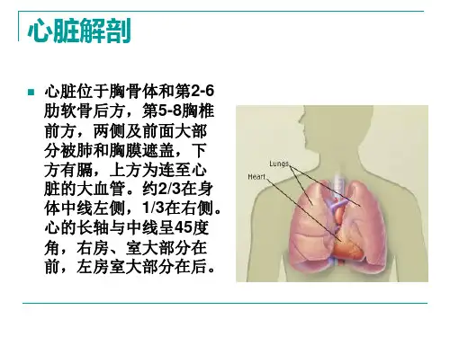 心脏体格检查ppt_PPT课件