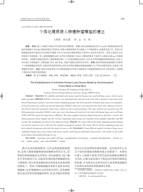 个体化裸鼠荷人肺癌肿瘤模型的建立