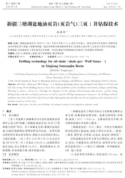 新疆三塘湖盆地油页岩(页岩气)三页1井钻探技术