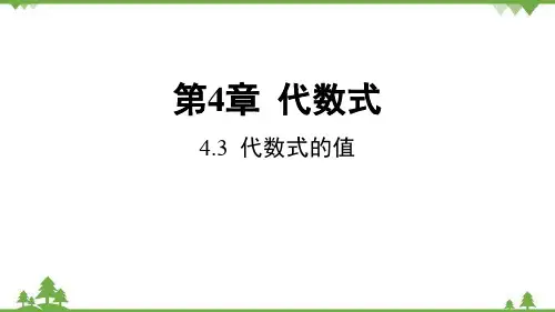 4.2 代数式的值 浙教版数学七年级上册课件