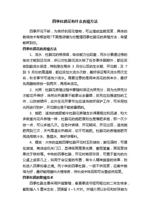 四季杜鹃花有什么养殖方法
