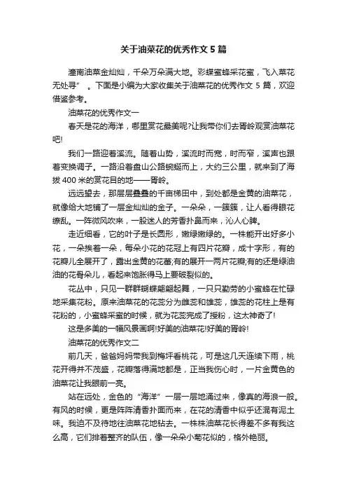 关于油菜花的优秀作文5篇