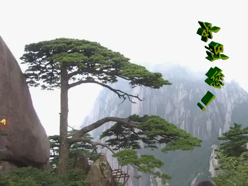 八年级物理第七章第二节弹力