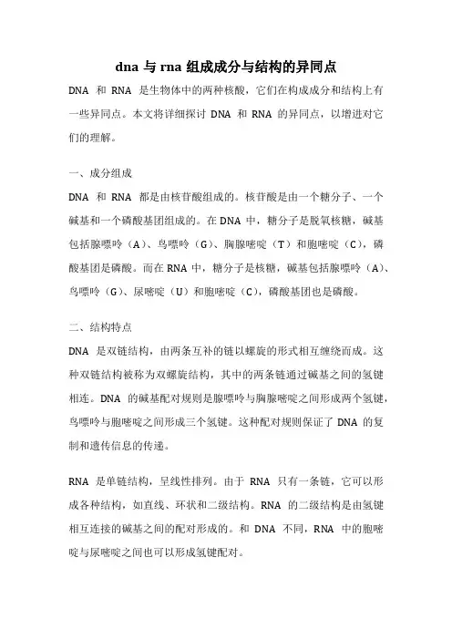 dna与rna组成成分与结构的异同点