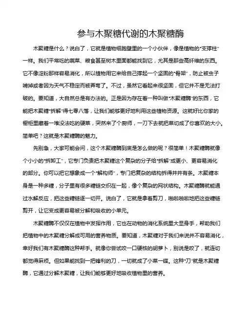 参与木聚糖代谢的木聚糖酶